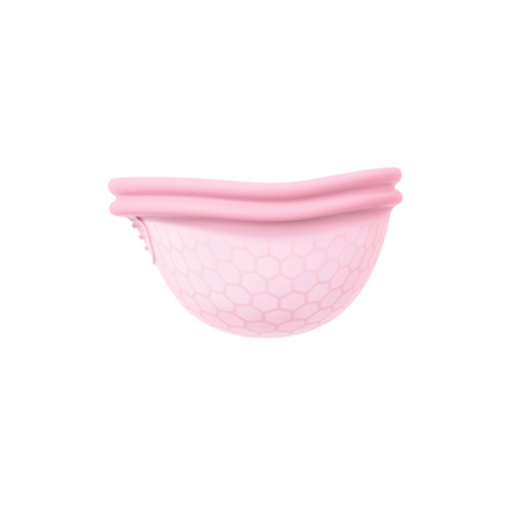 Ziggy Cup