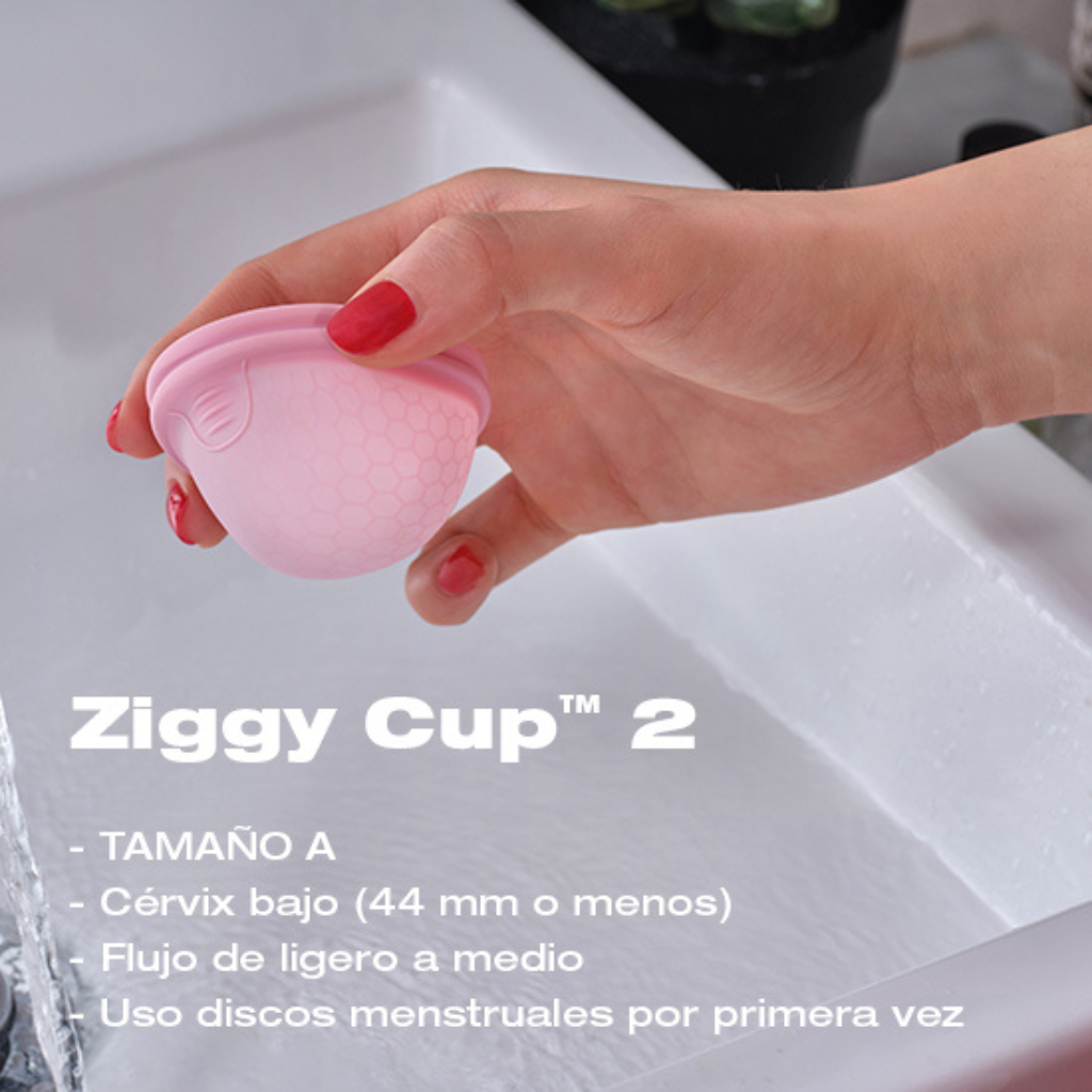 Ziggy Cup